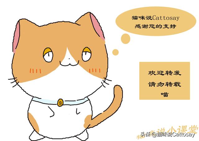 铃铛猫