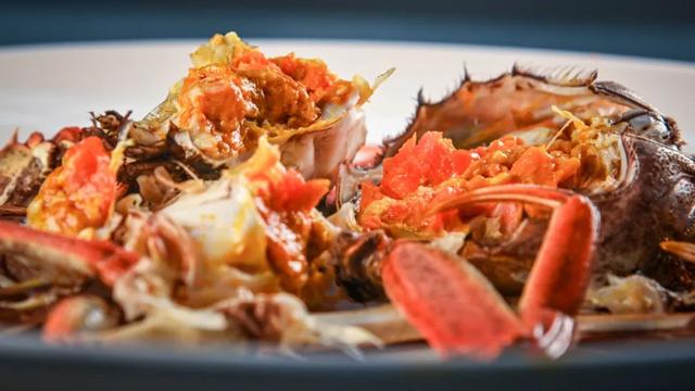 2019长沙药用机械展