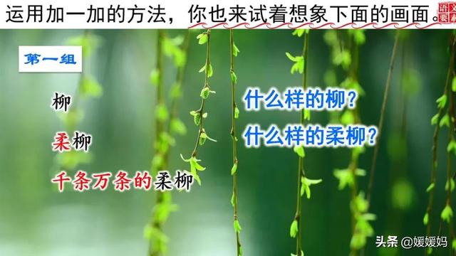 燕子的特点