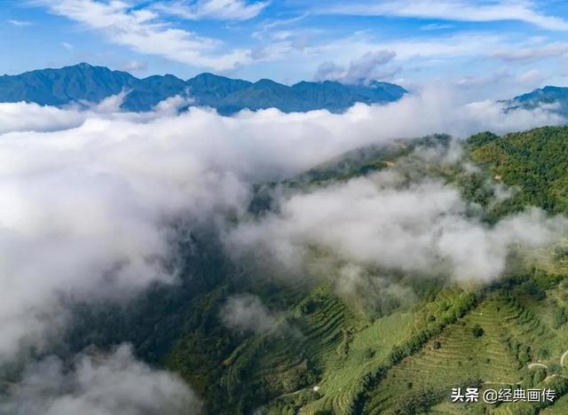 全自动过滤机模型的简单介绍
