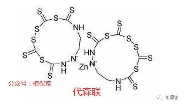 代森联、代森锌、代森锰锌千万别乱用！差别真的太大了9