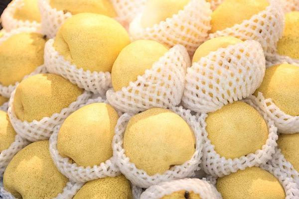 冬季天气干燥，容易上火！推荐：这5种清热去火茶，不妨试试