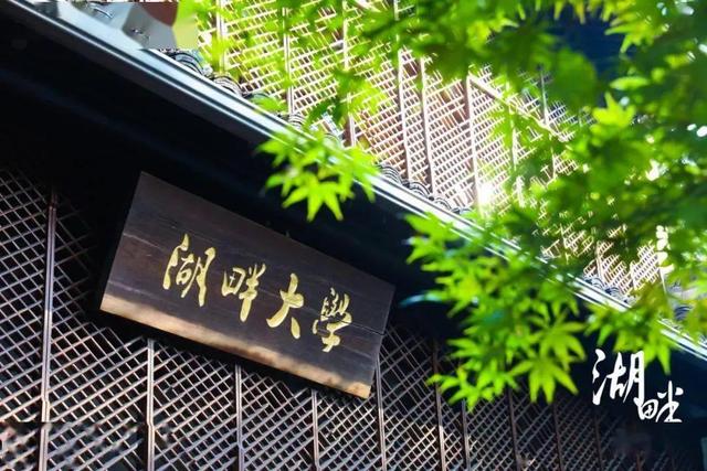 聊聊泰山会和湖畔大学