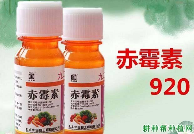 农业生产常用植物生长调节剂，用的好有奇效，那具体要怎么用呢？2