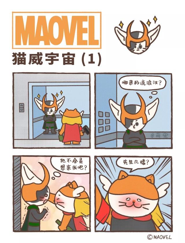 雷神山流浪小奶猫一年后成胖橘中华胖橘变身雷神竟然毫无违和感