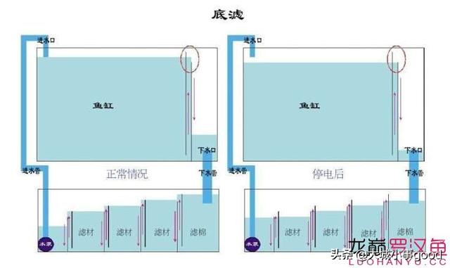 鱼缸侧循环安装示意图图片