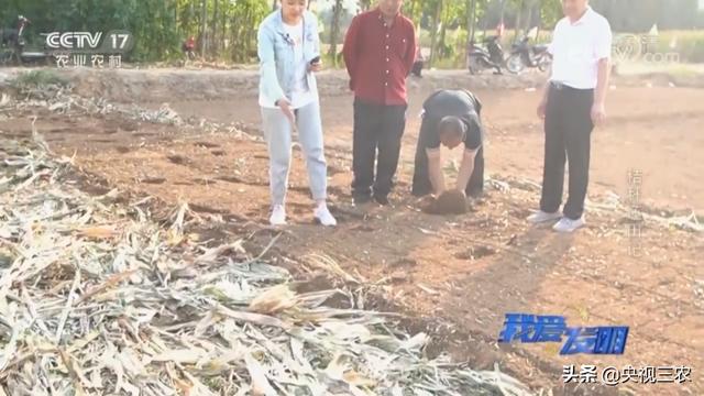 秸秆破碎机效果