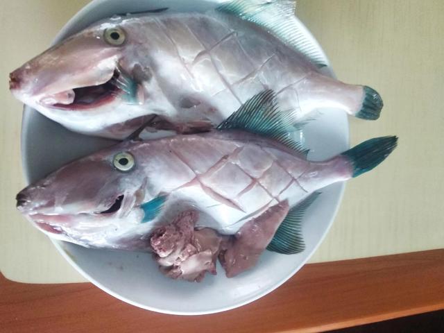 海鱼种类名称图片大全 海鱼种类名称图片大全食用 胡巴网