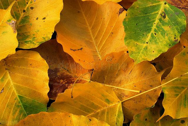 家人孩子都不爱听你的，可能是你喜欢追责式提问