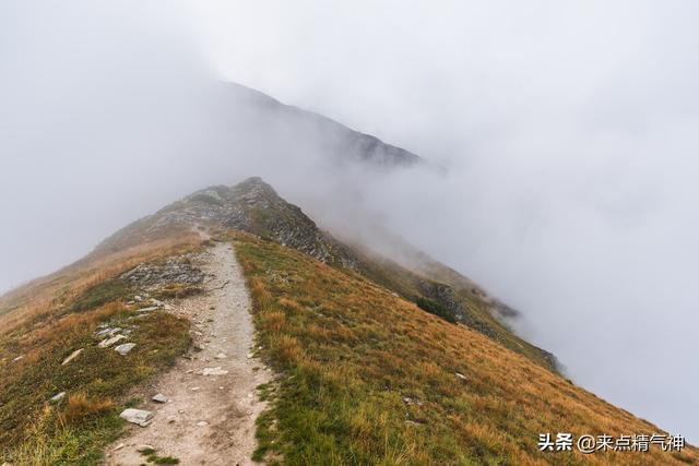 梦到驴是什么意思