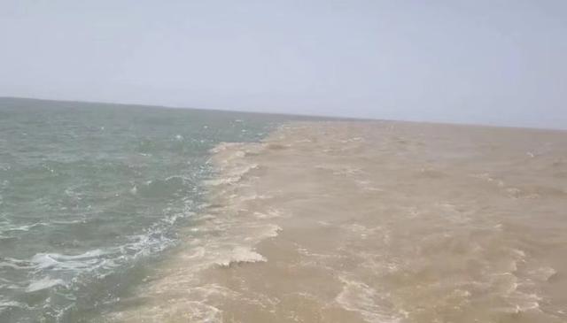 黄河之水天上来下一句