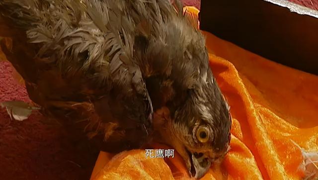近30年评分最高5部历史剧，《大秦帝国》排第4，谁是第一名？