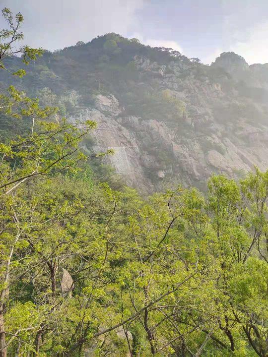 东岳泰山的特点