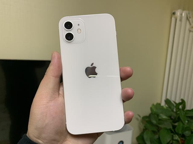 合理分析：发布已久的iPhone 11还值得入手吗？