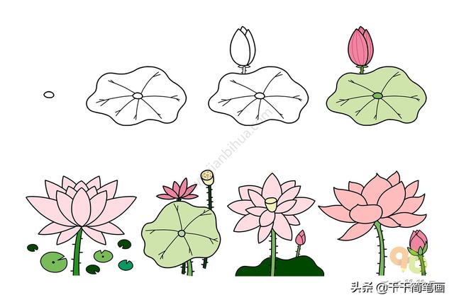 植物简笔画