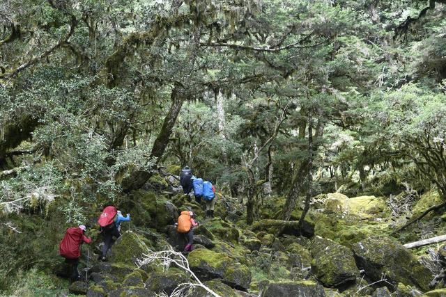 登山靴