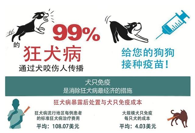 被咬了怎么办
