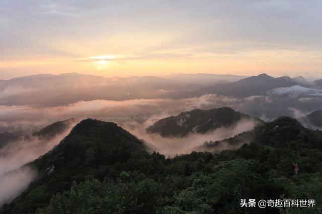 我国的自然保护区