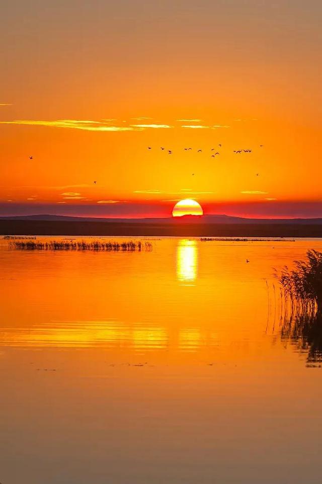 夕阳美如画，墨色度芳华