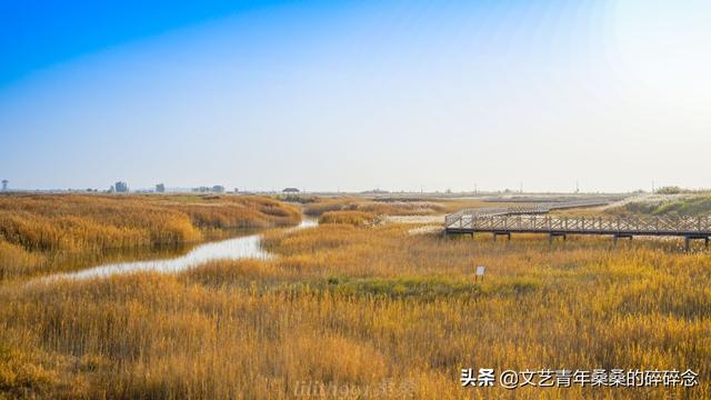 张掖过滤机