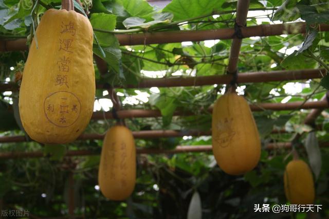 珠海十大景点