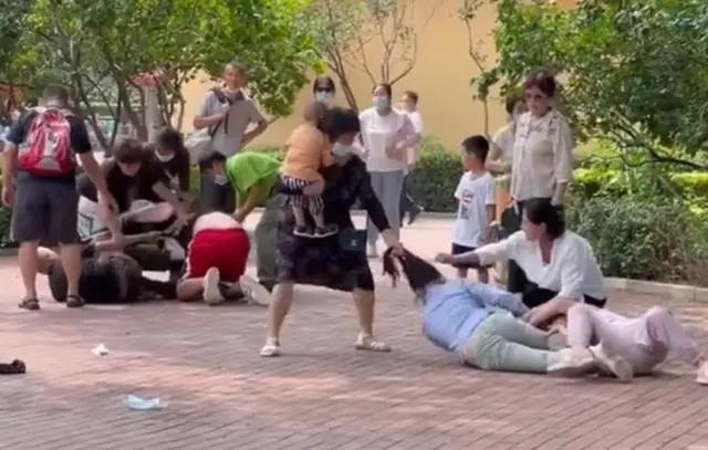 专家评北京动物园声明：动物不模仿也打架