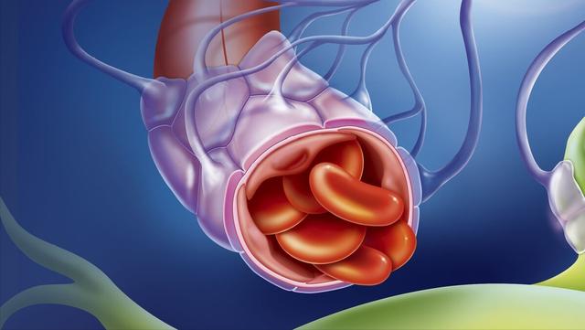 血管好不好，“抬腿”就知道！四个习惯是血管加速器，尽量改掉