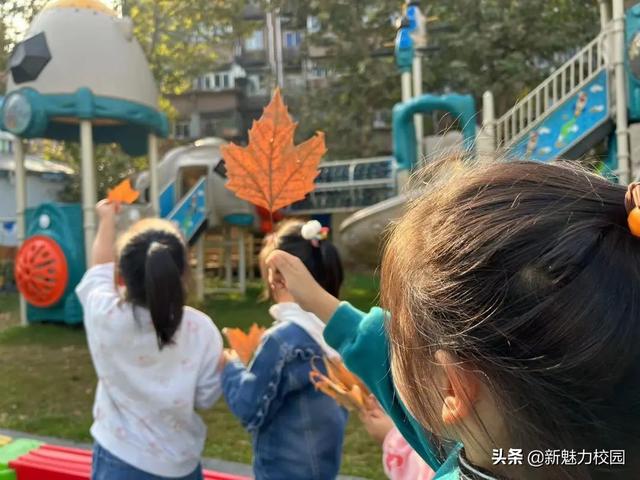 「班级风采」落叶知秋