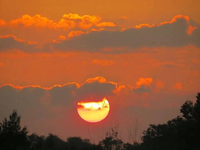 夕阳美如画，墨色度芳华