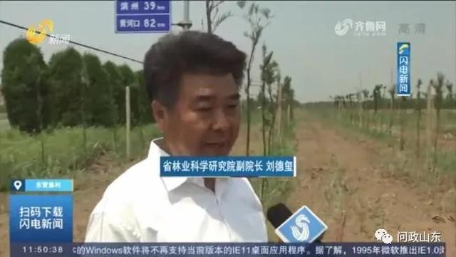 东营南展工程祥情