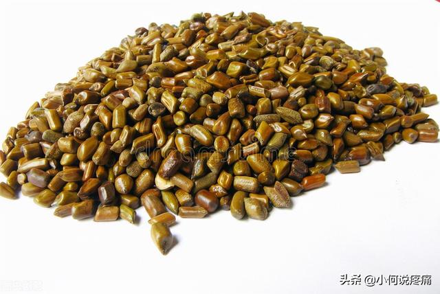 医生提醒：这5种常见药材千万别乱泡水喝，简直是给身体下毒