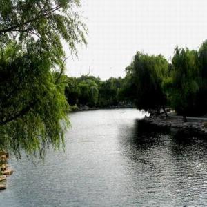 滨州石英砂洗砂机哪家好