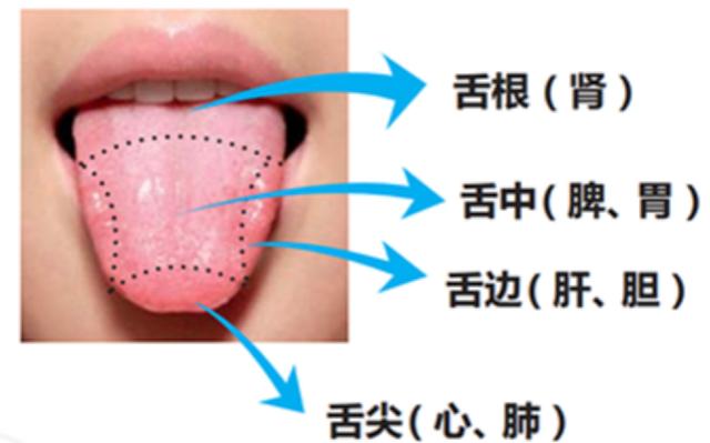 看这篇文章，你可能需要一面镜子
