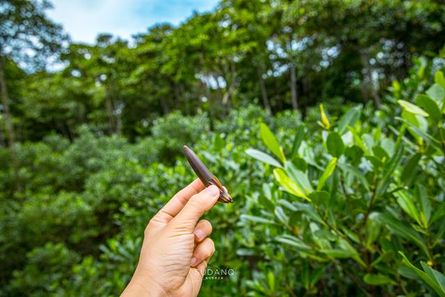 海口膜过滤机哪家好