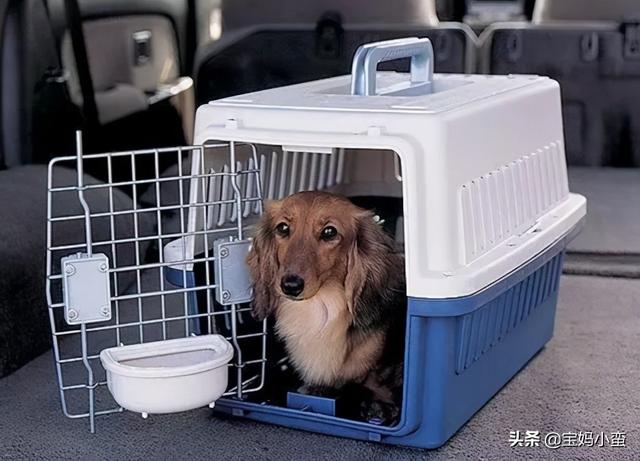 乘飞机注意事项（坐飞机要注意的事项有哪些）