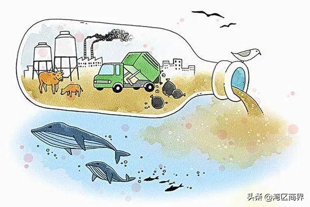 深圳市宝安区压滤机