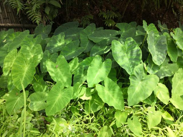 请一定善待自己的孩子