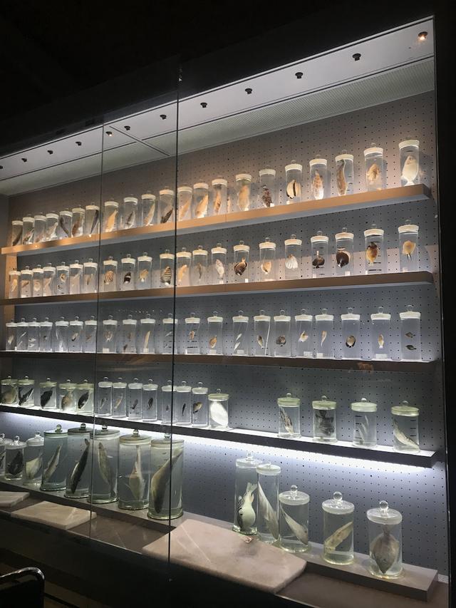 展陈工程竣工决算报表