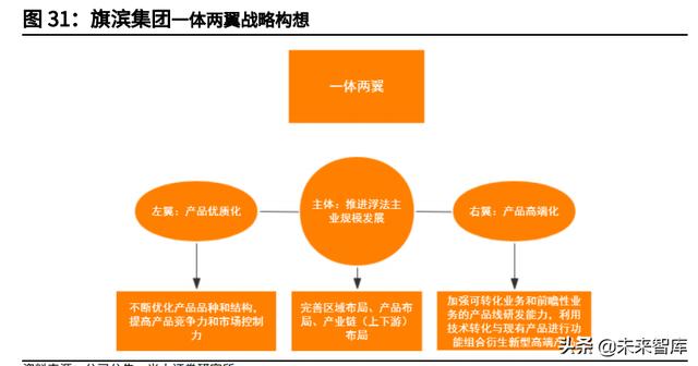 投资分析报告