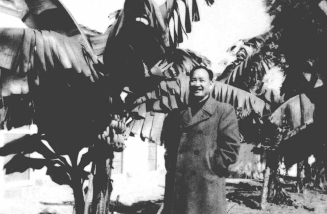 1967年一可疑男子带2只老鼠出境，周恩来指示：一定把案子查到底