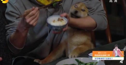 影片剧照