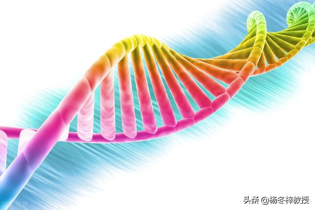 聊聊做试管婴儿的须知事宜
