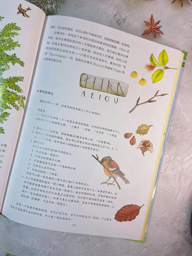 桦树叶治疗脚臭？椴树花茶能治感冒？这本自然科普绘本简直太棒了