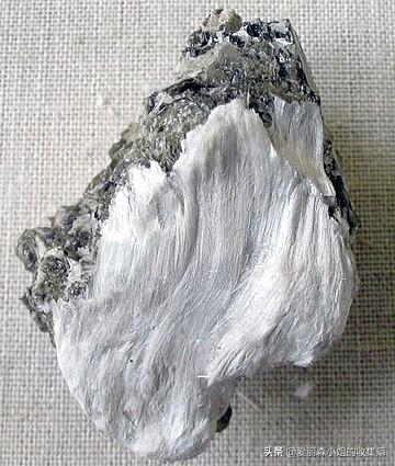 尾矿坝常见的病患