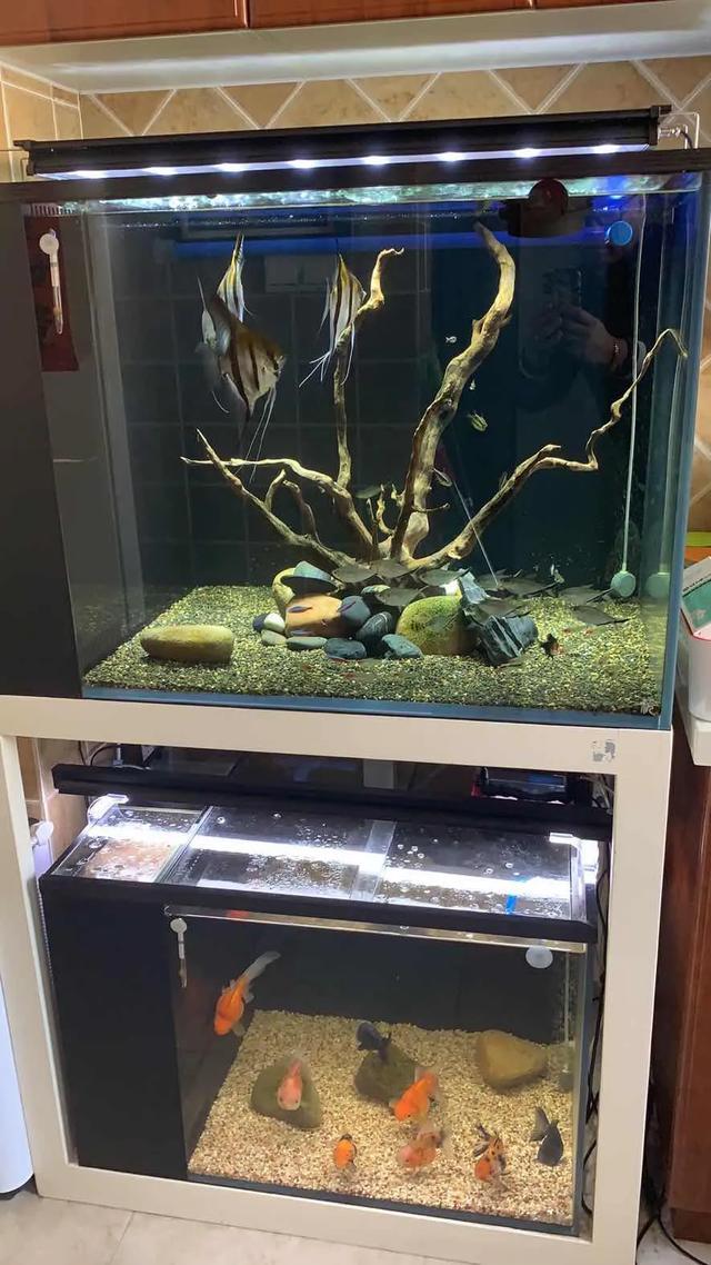 养龟的过滤机多少钱