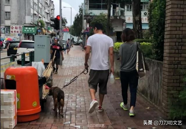 展博工程师出身完整版