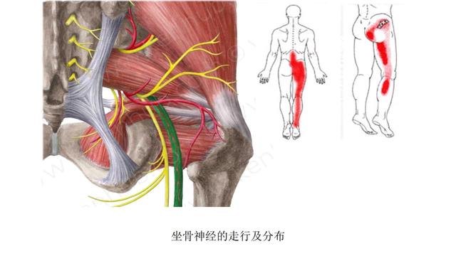 性爱球怎么用