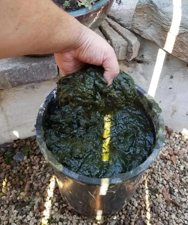 锦鲤池转鼓过滤机图纸