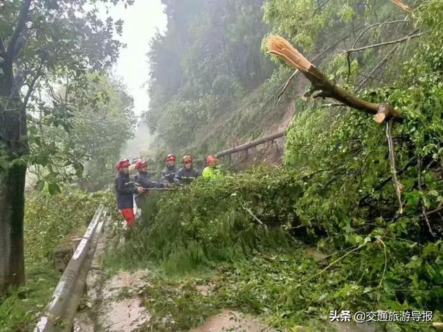 乌市新市区进口轮式洗砂机