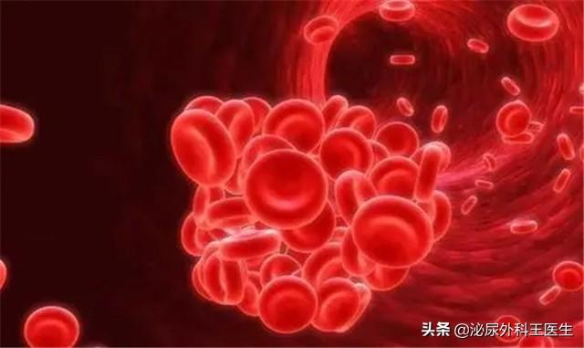 吃什么食物补肾最好呢？补肾食物第一名，文章推荐这篇